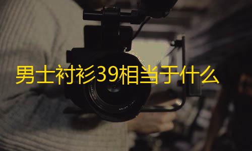 暗区ray直装男士衬衫39相当于什么尺码